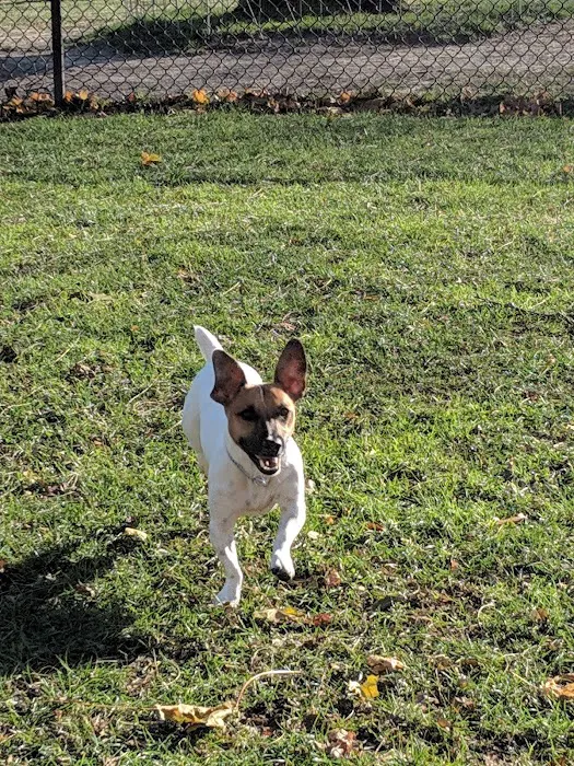 Lola Prentice Memorial Dog Park 3