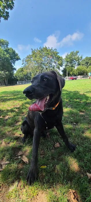 Lola Prentice Memorial Dog Park 4