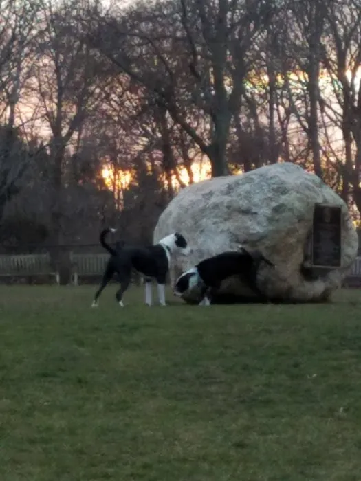 Lola Prentice Memorial Dog Park 2