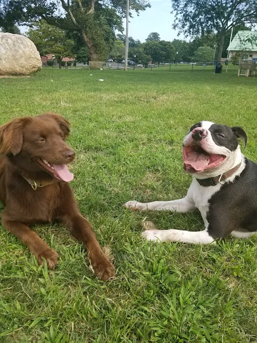 Lola Prentice Memorial Dog Park 10