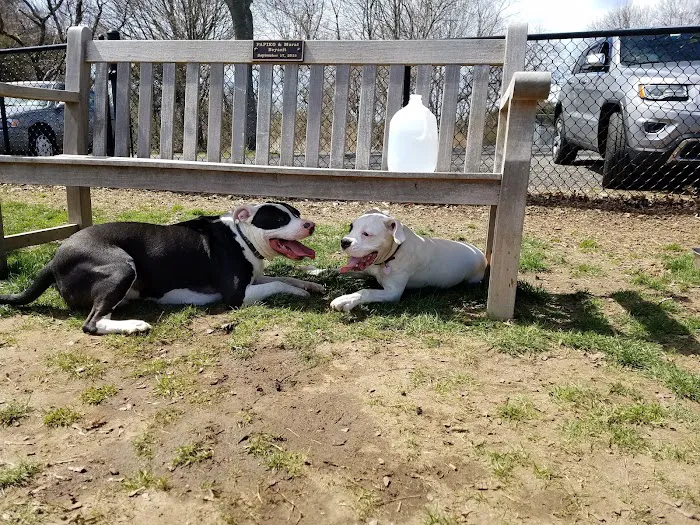 Lola Prentice Memorial Dog Park 9