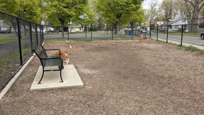 Ziggy's Dog Park 1