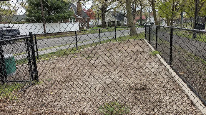 Ziggy's Dog Park 3
