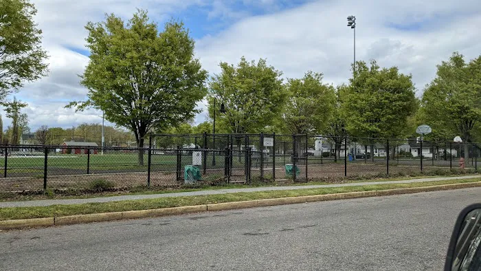 Ziggy's Dog Park 5