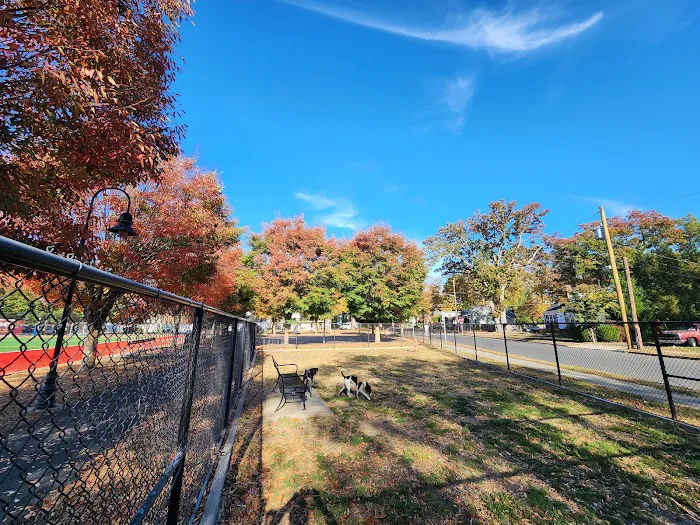 Ziggy's Dog Park 6
