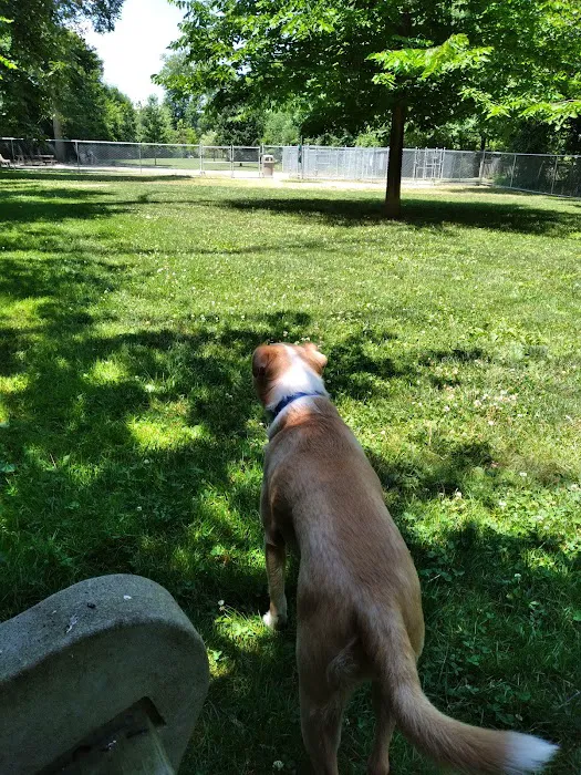 Mill Creek Dog Park 6