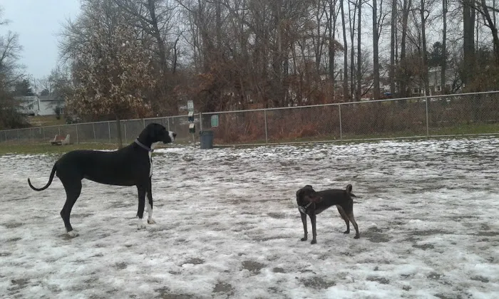 Mill Creek Dog Park 7