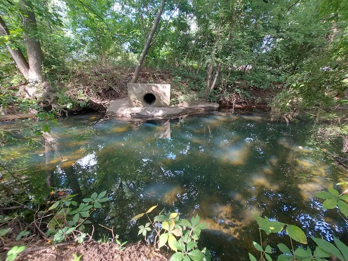 Mill Creek Dog Park 1