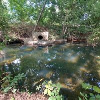 Mill Creek Dog Park ico