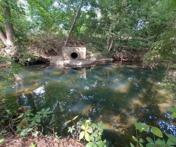 Mill Creek Dog Park