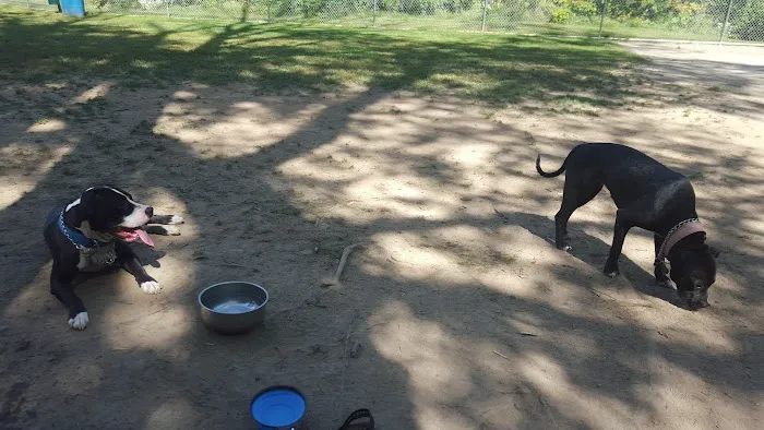 Mill Creek Dog Park 8
