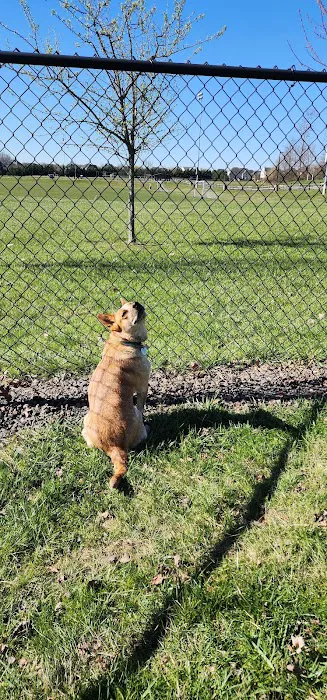 Doylestown Private Dog Park (members only) 9