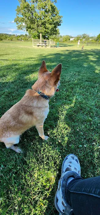 Doylestown Private Dog Park (members only) 3