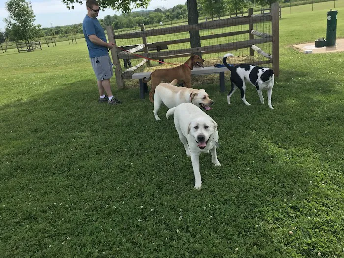 Doylestown Private Dog Park (members only) 8