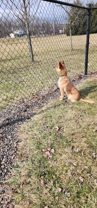 Doylestown Private Dog Park (members only) 2