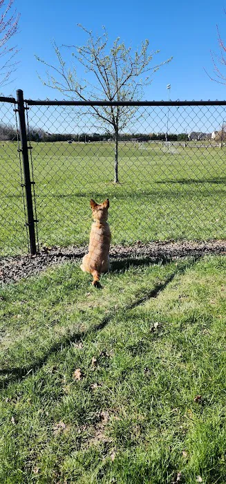 Doylestown Private Dog Park (members only) 5
