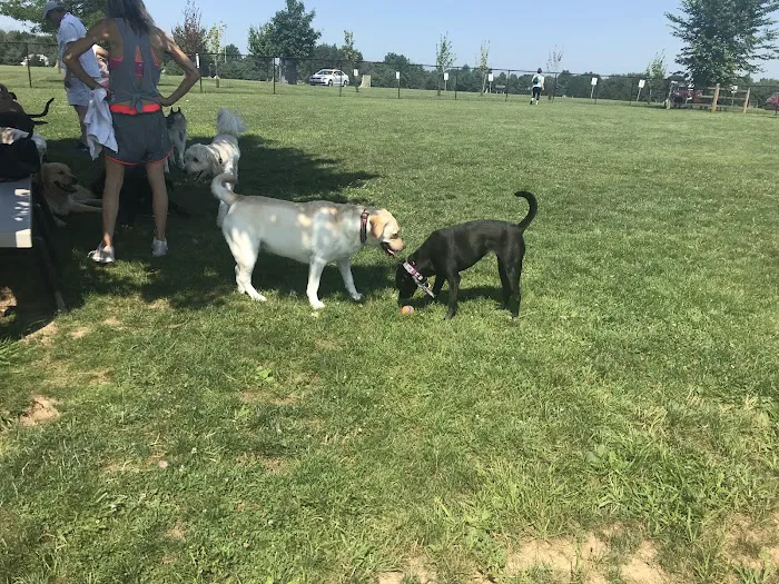 Doylestown Private Dog Park (members only) 10
