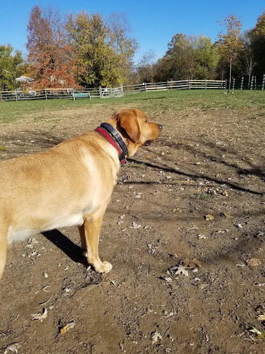 Grove Run Dog Park 8
