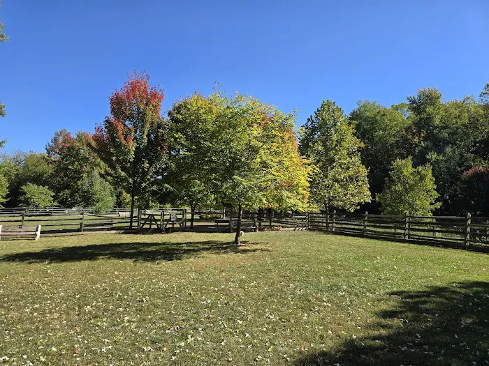 Grove Run Dog Park 3