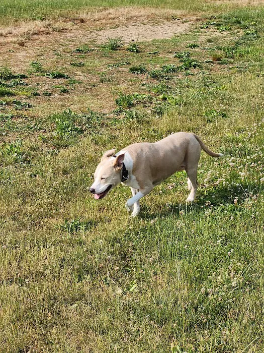Twining Valley Dog Park 1