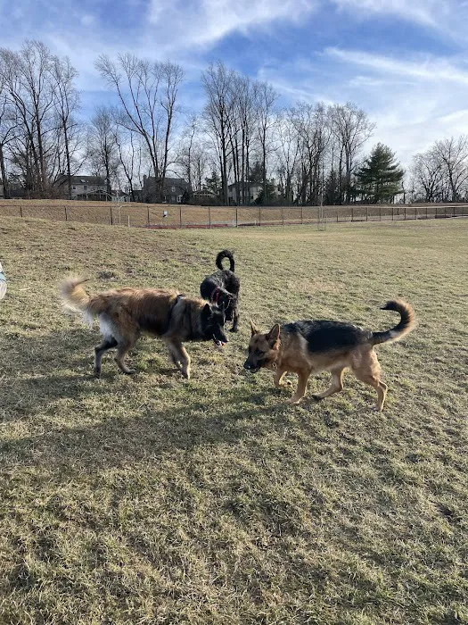 Twining Valley Dog Park 6