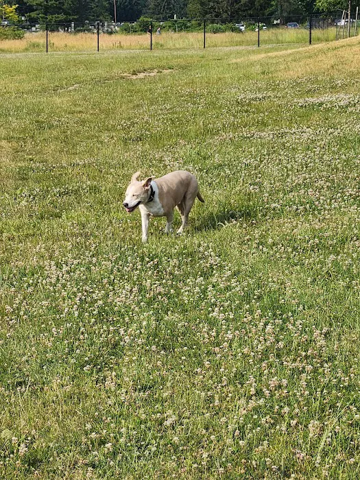 Twining Valley Dog Park 2