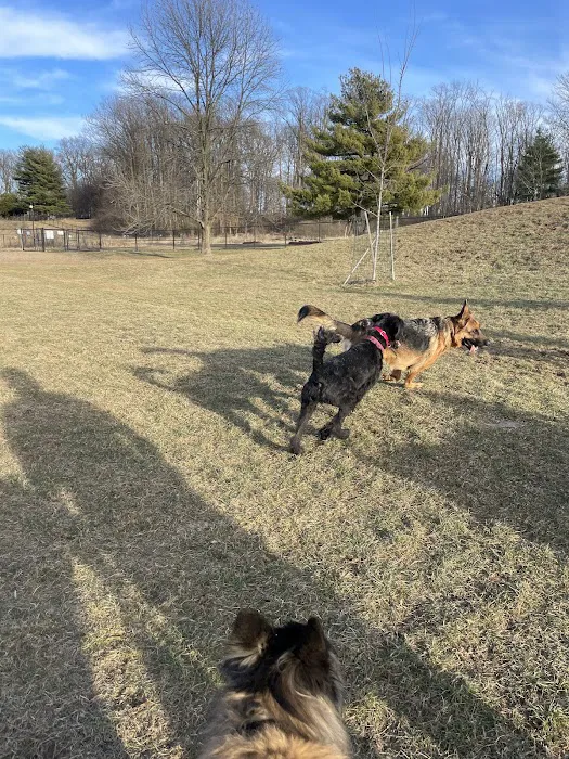 Twining Valley Dog Park 9