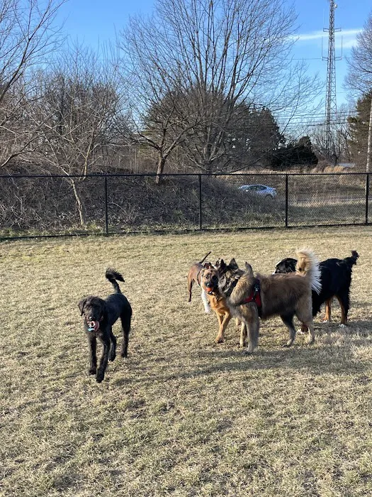 Twining Valley Dog Park 10