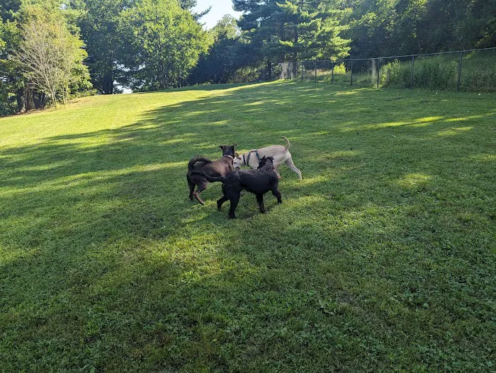 Twining Valley Dog Park 7