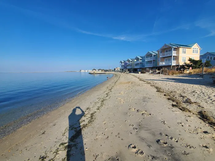 Beach Haven Doggy Bay 2