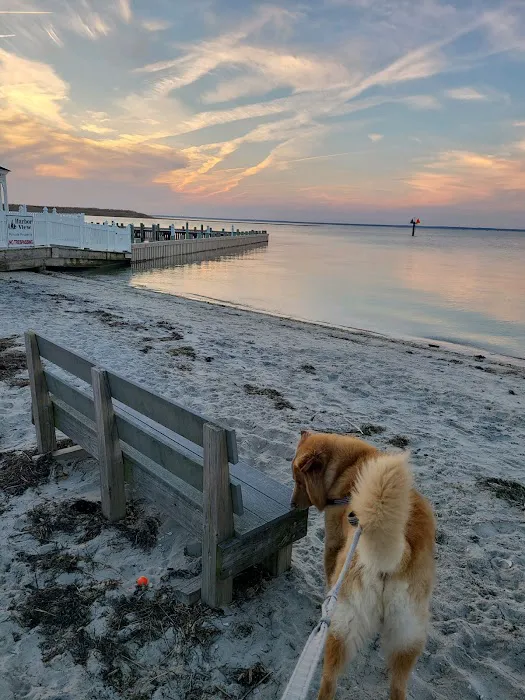 Beach Haven Doggy Bay 8