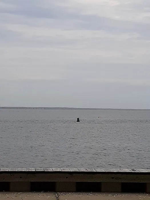 Beach Haven Doggy Bay 7