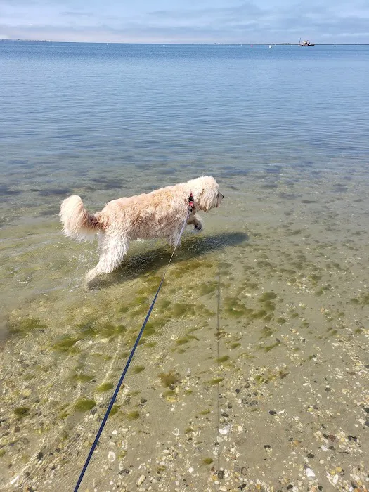 Beach Haven Doggy Bay 4