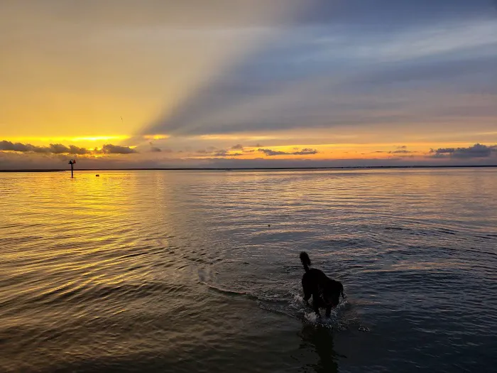 Beach Haven Doggy Bay 1