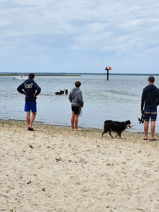 Beach Haven Doggy Bay 6