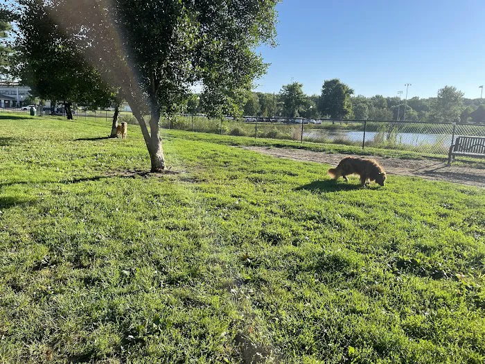 Evesham Township Dog Park 9