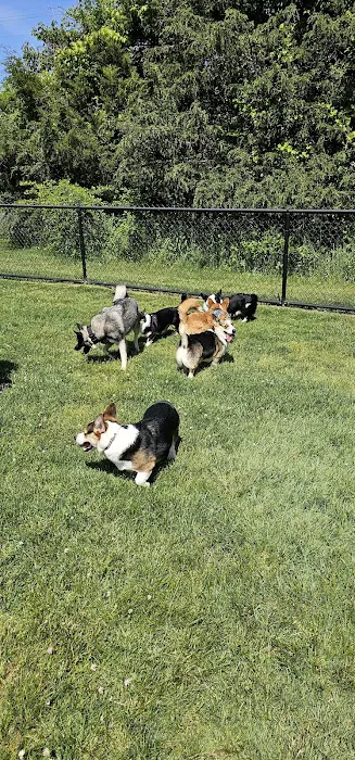 Evesham Township Dog Park 1