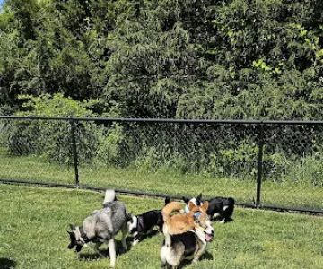 Evesham Township Dog Park