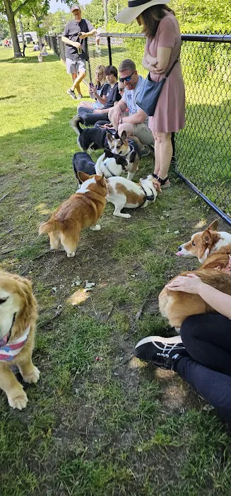 Evesham Township Dog Park 10