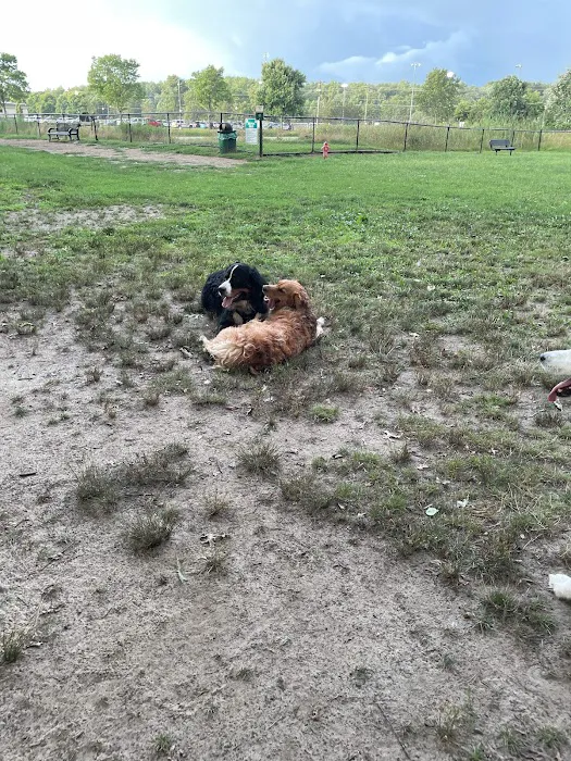 Evesham Township Dog Park 5