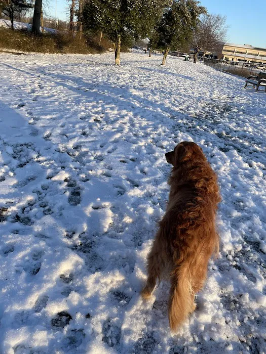 Evesham Township Dog Park 4