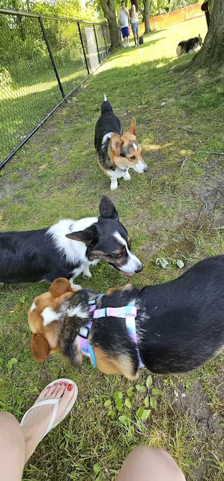 Evesham Township Dog Park 8