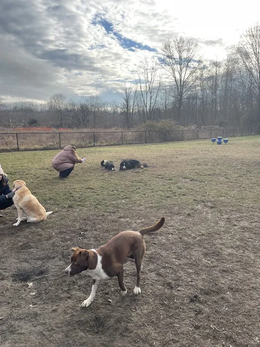 Evesham Township Dog Park 3