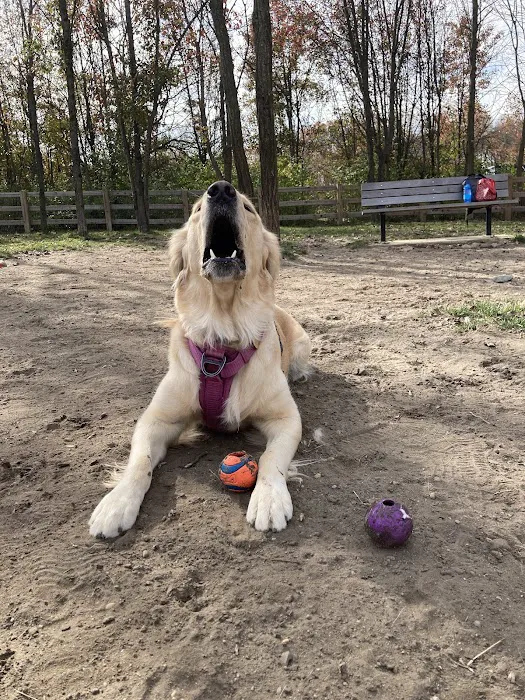 Croft Farm Dog Park 4