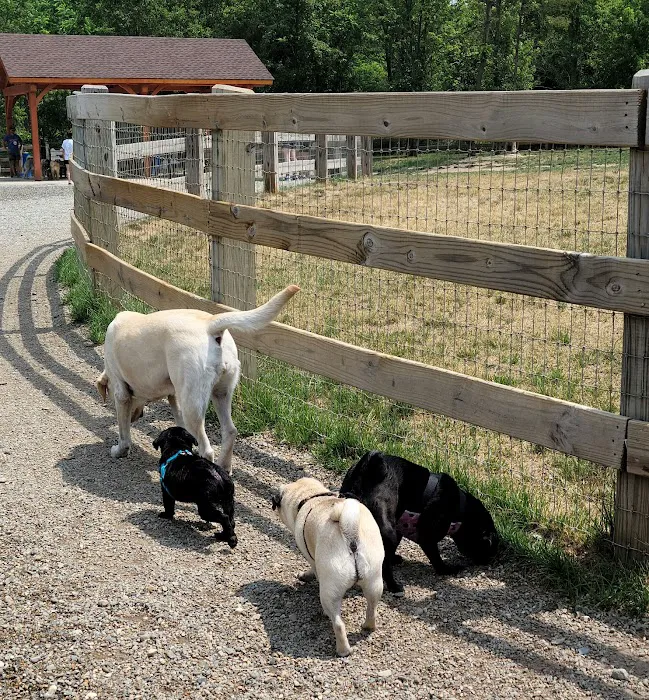 Croft Farm Dog Park 7