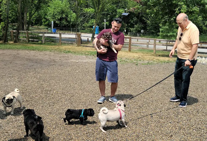 Croft Farm Dog Park 5
