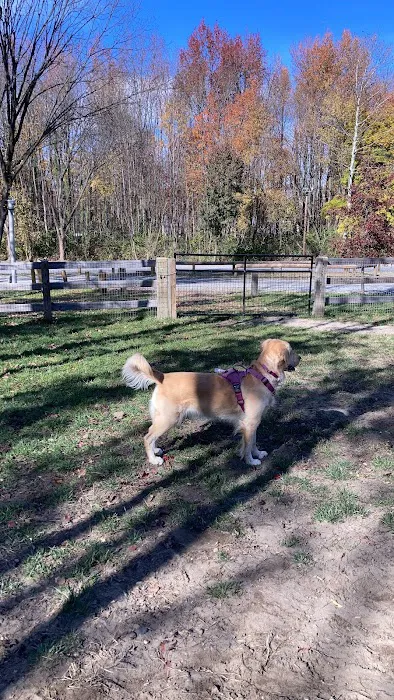 Croft Farm Dog Park 1