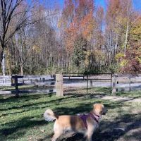 Croft Farm Dog Park ico