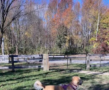 Croft Farm Dog Park