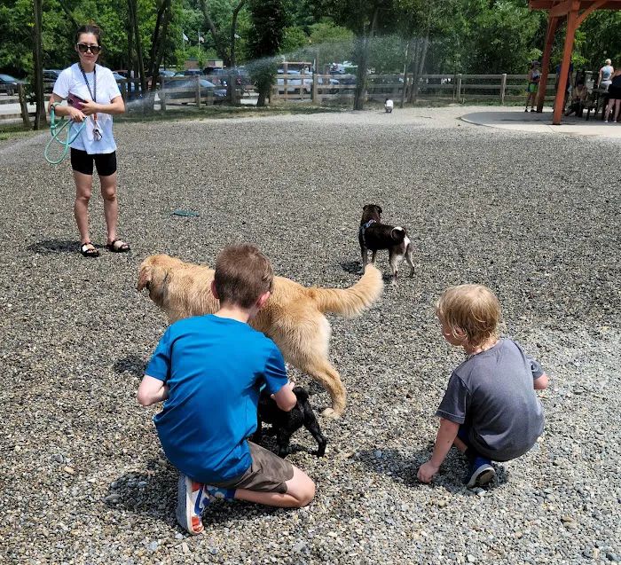Croft Farm Dog Park 8